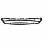 Lower Grille