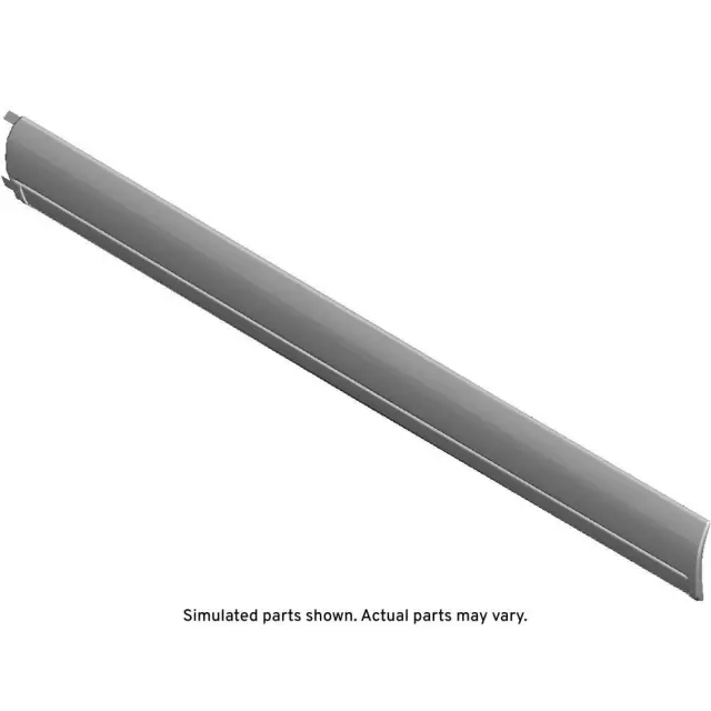 Black Driver Side Door Molding