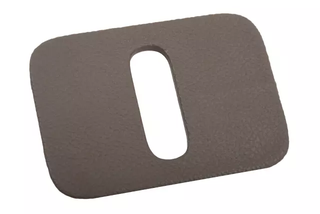 Dune Liftgate Lock Striker Cover