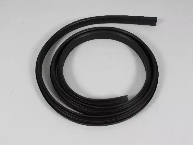 Surround Weather-Strip