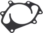Water Pump Gasket