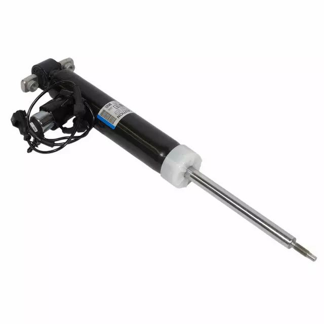 2013-2016 Ford Shock Absorber EG9Z-18125-D | OEM Parts Online