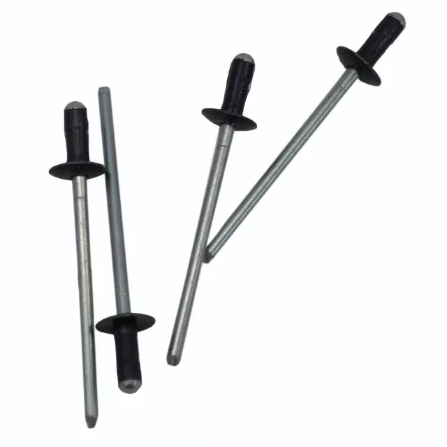 Pillar Molding Rivet