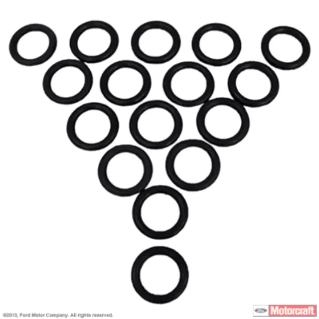 Fuel Injector O-Ring Kit