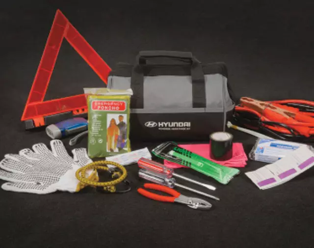 Roadside Emergency Assistance Kit - Premium