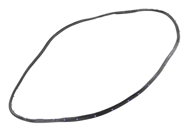 Rear Passenger Side Door Weatherstrip