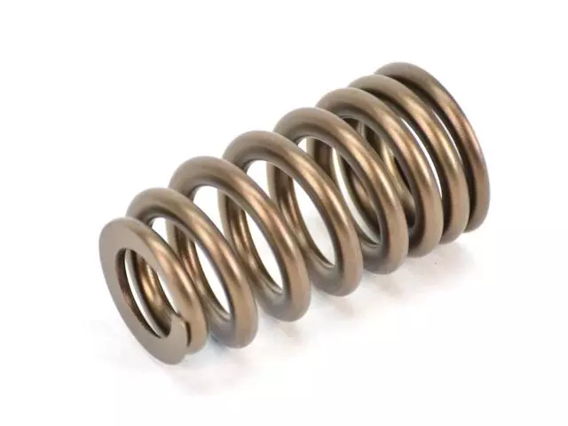 Valve Springs