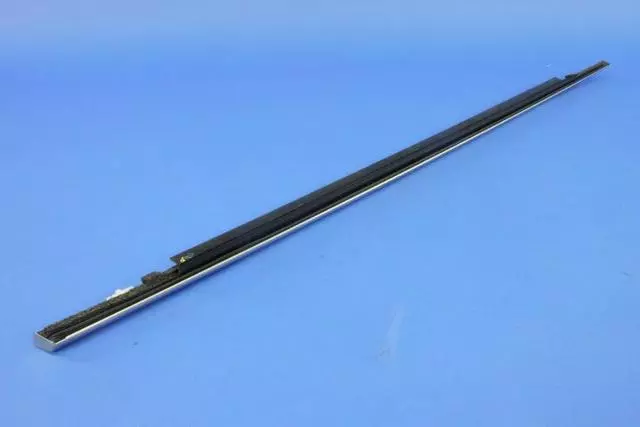 Door Belt Outer Weatherstrip, Left