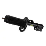 Shock Absorber Assembly