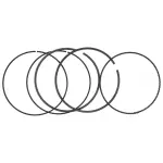 Piston Rings