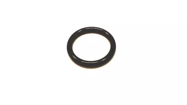 Fuel Injector O-Ring