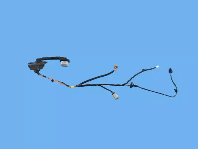 Rear Door Wiring, Left Rear Door