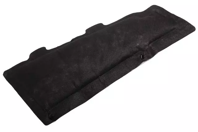 Rear Driver Side Door Insulator