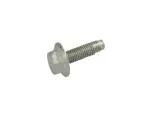Tank Strap Screw