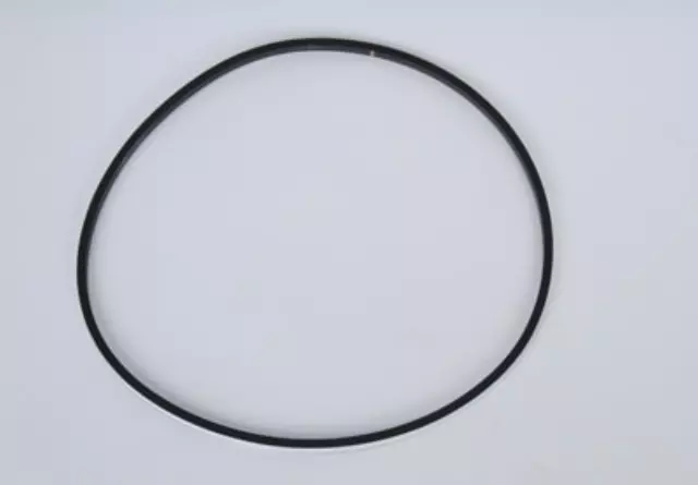 Automatic Transmission Case Extension Seal