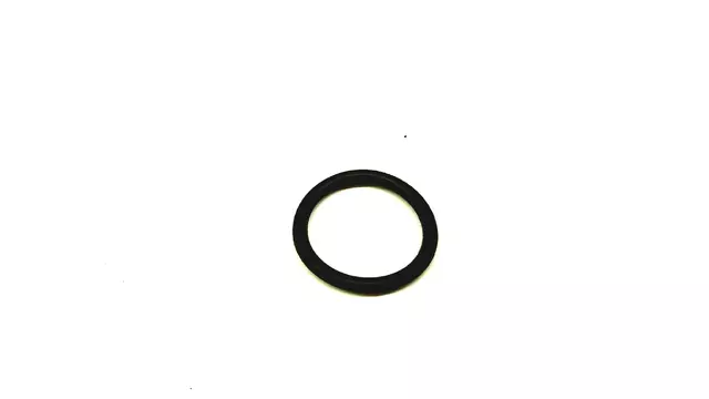 Camshaft Sensor O-Ring