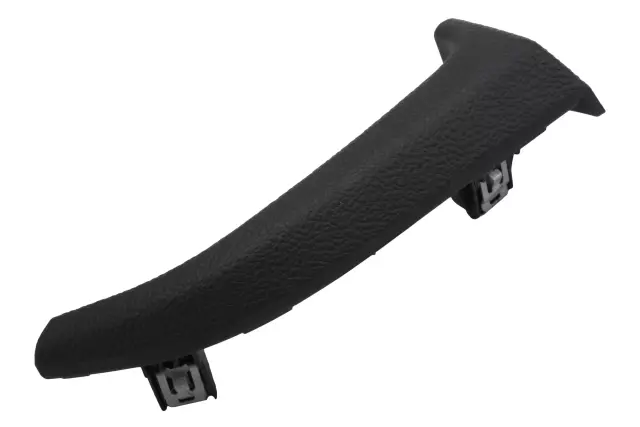 Jet Black Passenger Side Instrument Panel Trim Plate