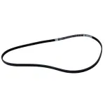Motorcraft™ Serpentine Belt