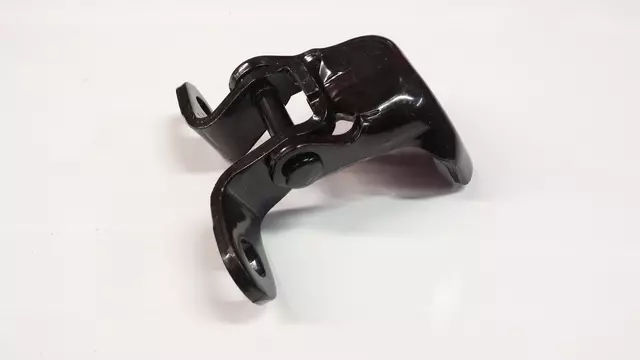 Door Hinge (Left, Right, Rear, Upper, Lower)