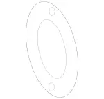 Circumferential Seal