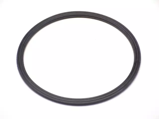 Engine Water Pump Seal