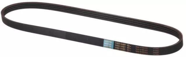 2000 – 2003 Nissan Accessory Drive Belt 11950-5M001