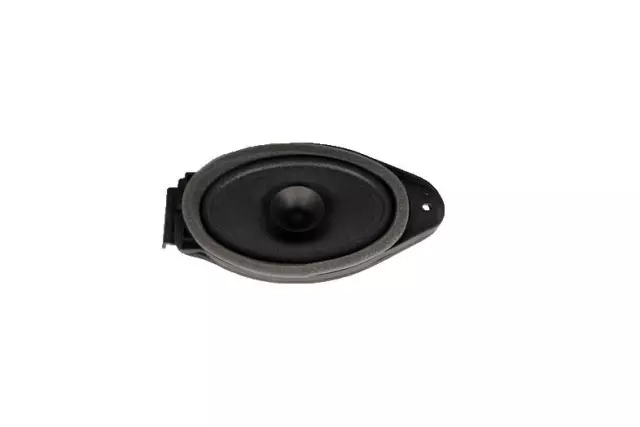 Rear Radio Speaker