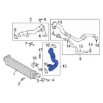 2020-2024 Ford - Inter-Cooler Hose
