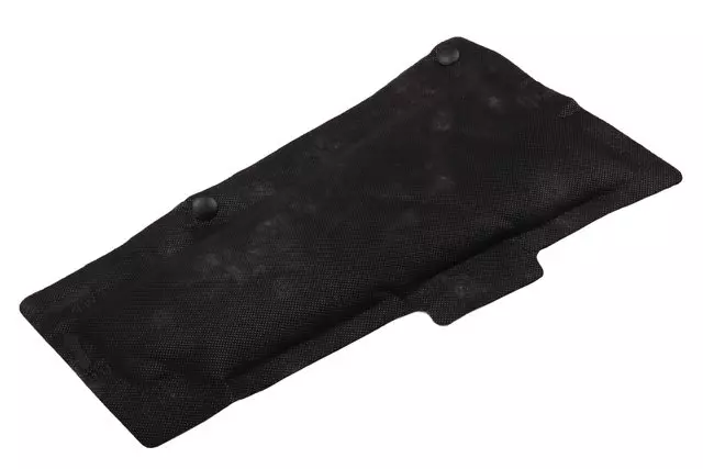 Rear Passenger Side Door Insulator