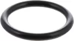 Engine Coolant Pipe O-Ring