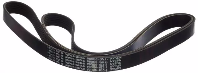 Serpentine Belt