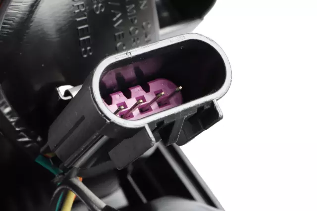 Rear Driver Side Stop Lamp