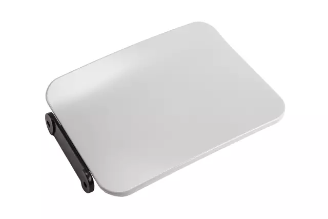 Fuel Tank Filler Door Assembly