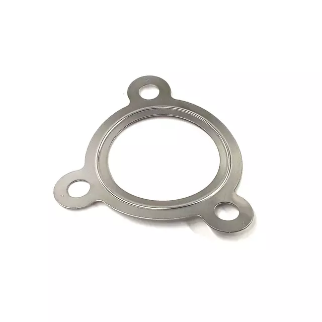 Converter & Pipe Gasket