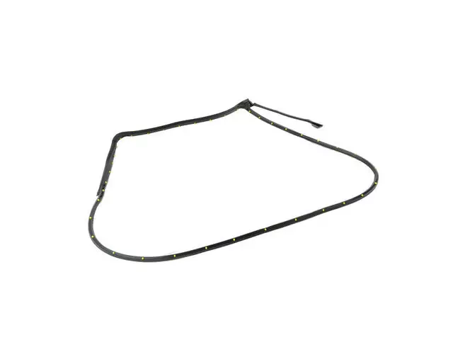 Rear Door Mounted Weatherstrip, Right