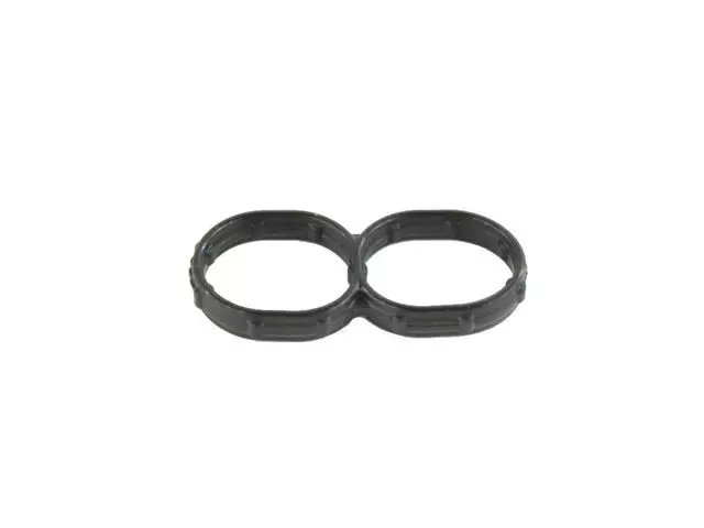 Oil Pan Gasket