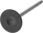 Exhaust Valve