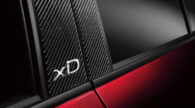 2013 Scion xD - Carbon Fiber B-Pillar Applique - Driver Side