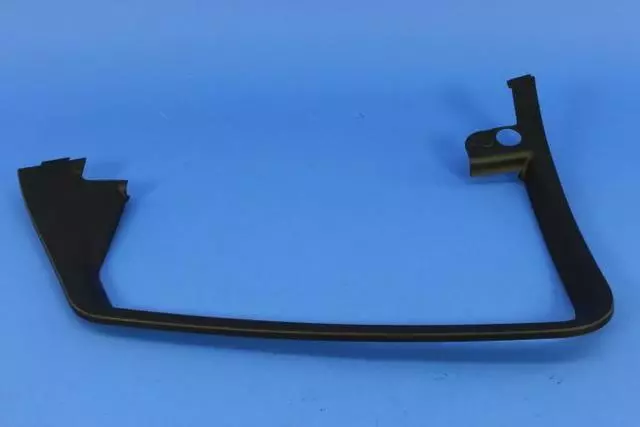 Rear Door Molding, Right