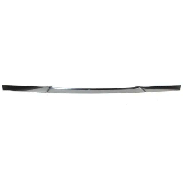 2022-2024 Ford Expedition Lift-Gate Finish Panel Trim Plate NL1Z