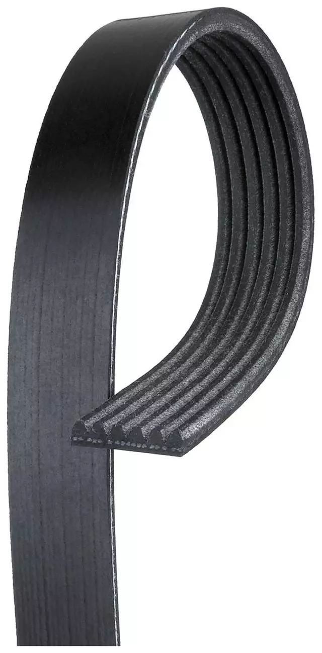 Standard V-Ribbed Serpentine Belt