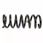 2013-2020 Ford - Coil Spring