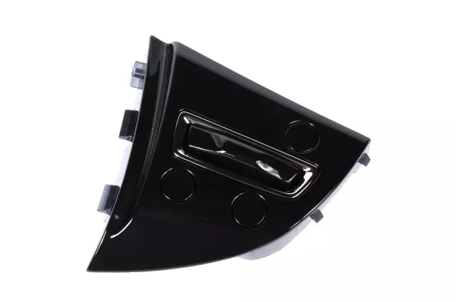 Black Cruise Control Switch