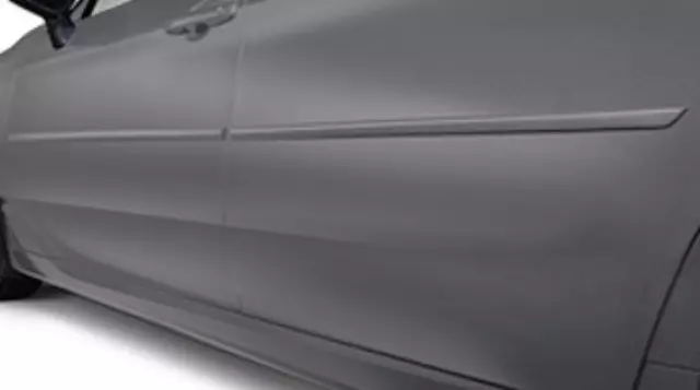 Molding, Body Side, Celestial Silver Metallic