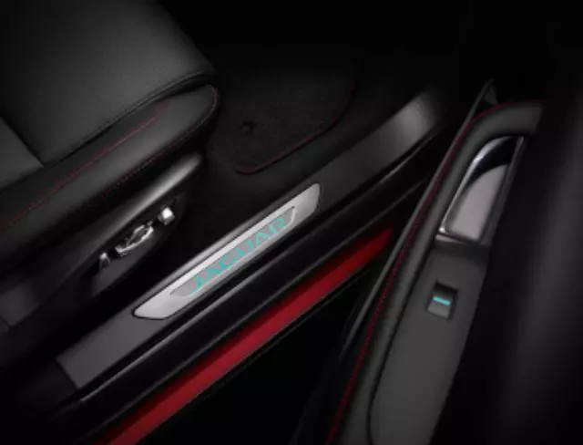 Sill Treadplates - Illuminated - Ebony