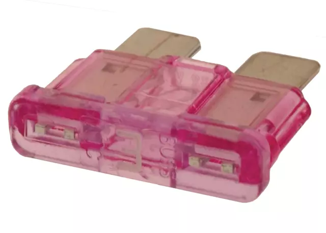 2019-2025 GM - Violet 3 Amp Automotive Fuse