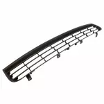 Bumper Grille