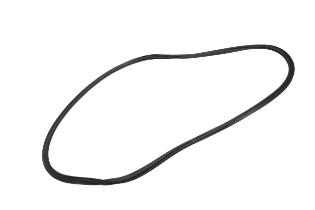 Rear Side Door Weatherstrip