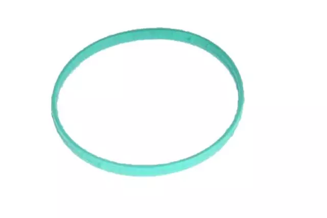 Throttle Body Seal