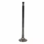 Exhaust Valve